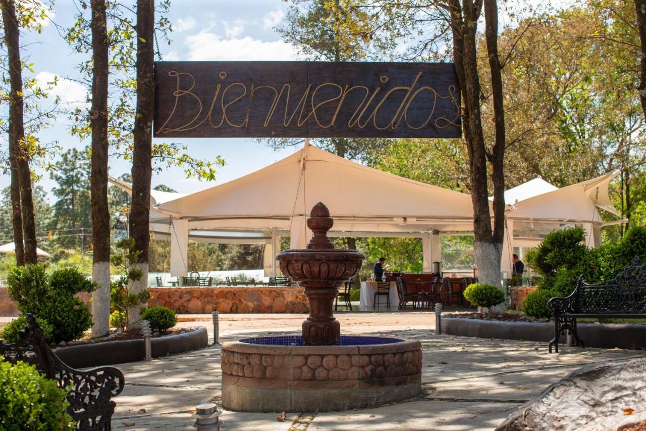 Hotel & Glamping Huasca Sierra Verde Huasca de Ocampo Eksteriør billede