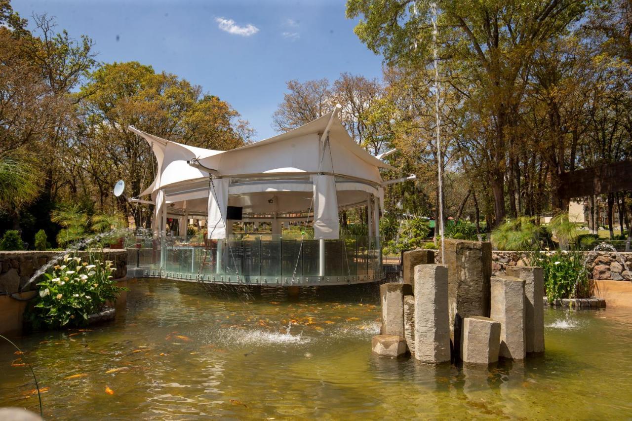 Hotel & Glamping Huasca Sierra Verde Huasca de Ocampo Eksteriør billede